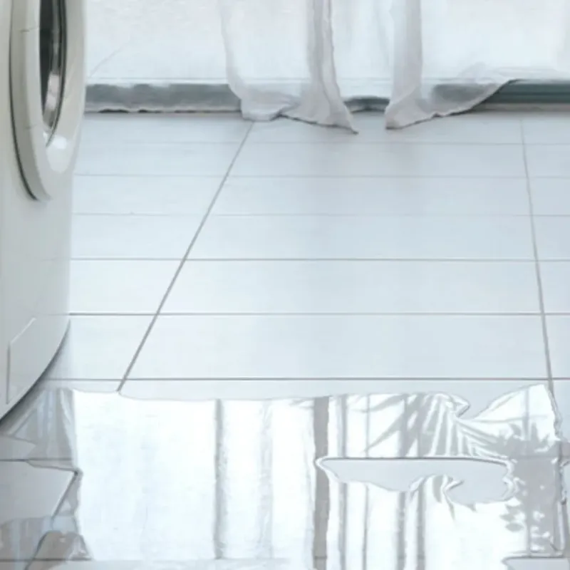Appliance Leak Cleanup in Northgate, OH